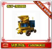 pz-5���{�C���V�Ç��{�C