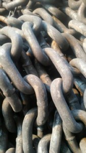 �N�۵V��朗l �ΰ�C朗l ����朗l