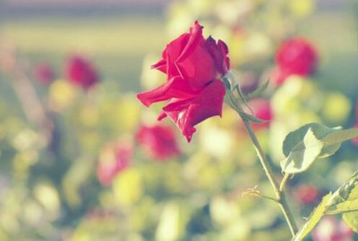 北京中央空調(diào)加香機(jī)