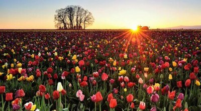 �����U��C����C�����X