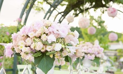 ������������C������ϴ