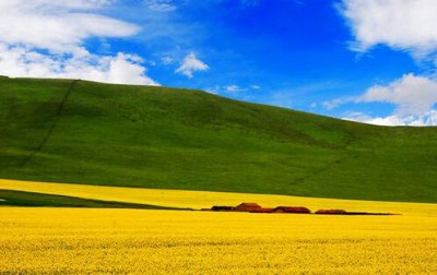 �U��C �|��