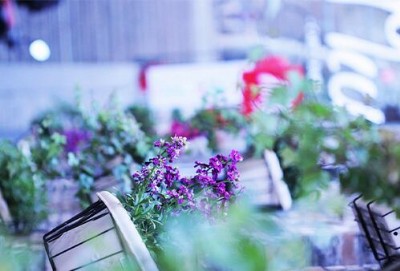 �����Ƶ���ÔU��C