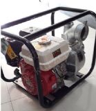 4�����������È�r