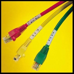 �W���˺������w���oĤ�˺���