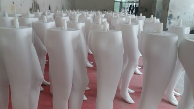 ���z�������ľ����