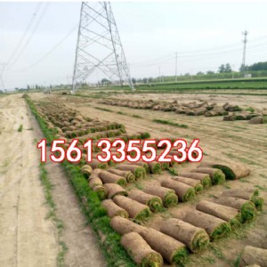 ����ļ����ƺ