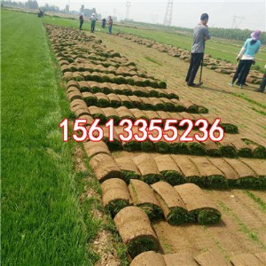 ��ɽ�ߠ��������ƺ