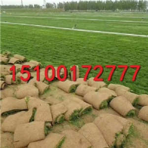 ��Ǹߠ��������ƺ