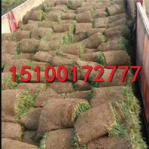 ��ɽ����̲�ƺ