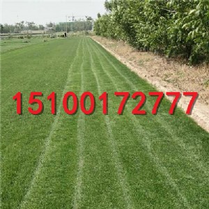 ���_�ļ����ƺ ��ƺ���l