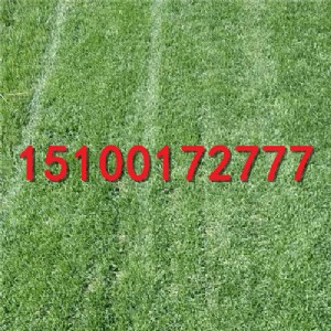 ʯ���f����̲�ƺ ��ǲ�ƺ���l