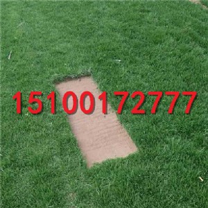 ���_�첥��ƺ ��ƺ���l