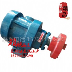 2CY-8/0.33���P��X݆��ʳƷ�l���� ެ���u�� ������