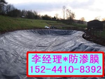 ��ɫ��-ȫ����ź�ط��BĤ�r(ji��)��=��ឳط��BĤ���