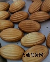 �����ϙ쵰����Ӗ�ž�����ܵ��⼼�g��Ӗ