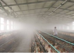 ���F���������O��