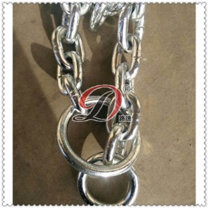 �A�h����朗l�����Pע�������