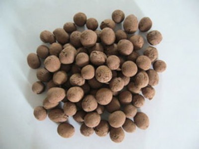 �����㽭�������������������������������B�d�������_������