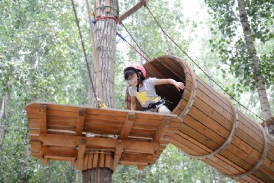 �F�ݴ�Խ������չ�O(sh��)��r(ji��)���(xi��ng)Ŀ���ƏS�ҹ���(y��ng)��̽�U(xi��n)��(l��)�@�ļҺ�