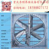 ����ؓ���L�C �Bֳ�O�� �L�C �Bֳ�L�C ؓ��ʽ�L�C