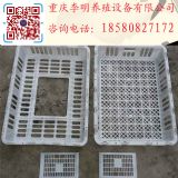 �u���\(y��n)ݔ�\ ���u���D(zhu��n)�\ �����u�\ �B(y��ng)ֳ�\(y��n)ݔ�\