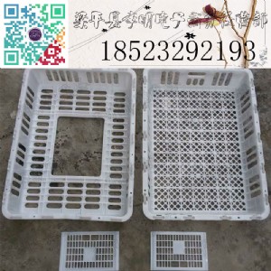 �u���\ݔ�\ �Bֳ�O�� �Bֳ�\ݔ�\