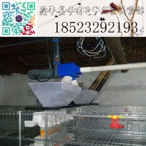 �g����ʳ�� �Bֳ�O�� �g��ʳ��