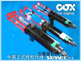 ���� COX-PPA�p�M�ݚ���z��