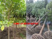 16-18���֘�����Ц�r��