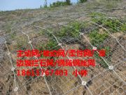 ���x���ӷ��o�W-���xsns���Է��o�W���F·����·�r�ؾW�S�ҡ�