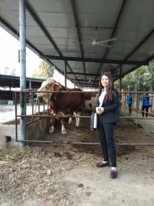 �Ҽҵ�ĸţ�a(ch��n)����ˮ������ô�k��ţ�ٳԵ��̷��ķN��