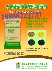 ��ǧ����̼ø�ͺ�΢�������̼ø����̼ø���S̼ø����