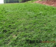 ߅�·��o��߅�¾G��