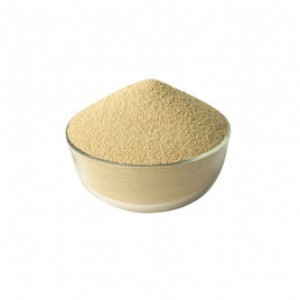 ��ʮ��̼��ϩ�ᣨDHA��10%΢�ҷۣ�΢�ۣ�