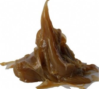 ����(y��ng)�㻯�Ə�(f��)��䇻���(r��n)��֬