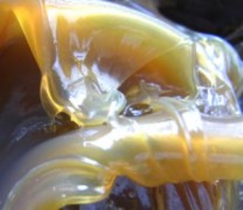 �S��ֱ�N�B�T�C����֬