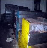 2363ģ������l(f��)��2363ģ��䓃r(ji��)��