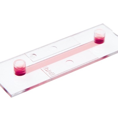 µ��-slide i ��ͨ�����������B�d��Ƭ��ibidi