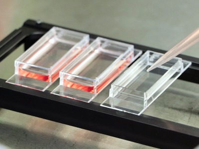 ��ǻ���d��Ƭ-82106 82101 82107��ibid