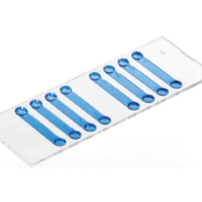 ��(x��)��Ӌ(j��)��(sh��)�d��Ƭ80816