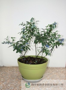 ��Խ�f�@ �{ݮ�辰