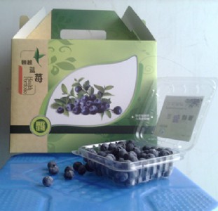 ���� ��Խ�f�@ ���b�{ݮ�r��125g�b