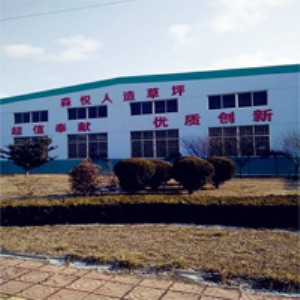 ���������������ƺ ɭ��