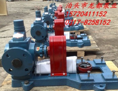 YCB3.3-0.6銅輪圓弧齒輪泵/圓弧齒輪泵/圓弧泵/抽油