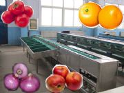 ֱʽС�Ͷ๦�ܽ�(j��ng)���������x���C