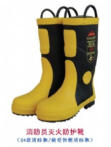 �������i���������T�����oѥ