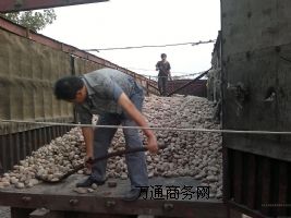 ƽ�ɽ�sɫ�Z��ʯ�S��