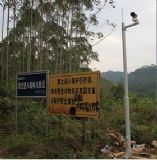 �z��C(j��)���U