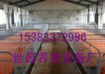 �B�i�����i�����������Xһ��